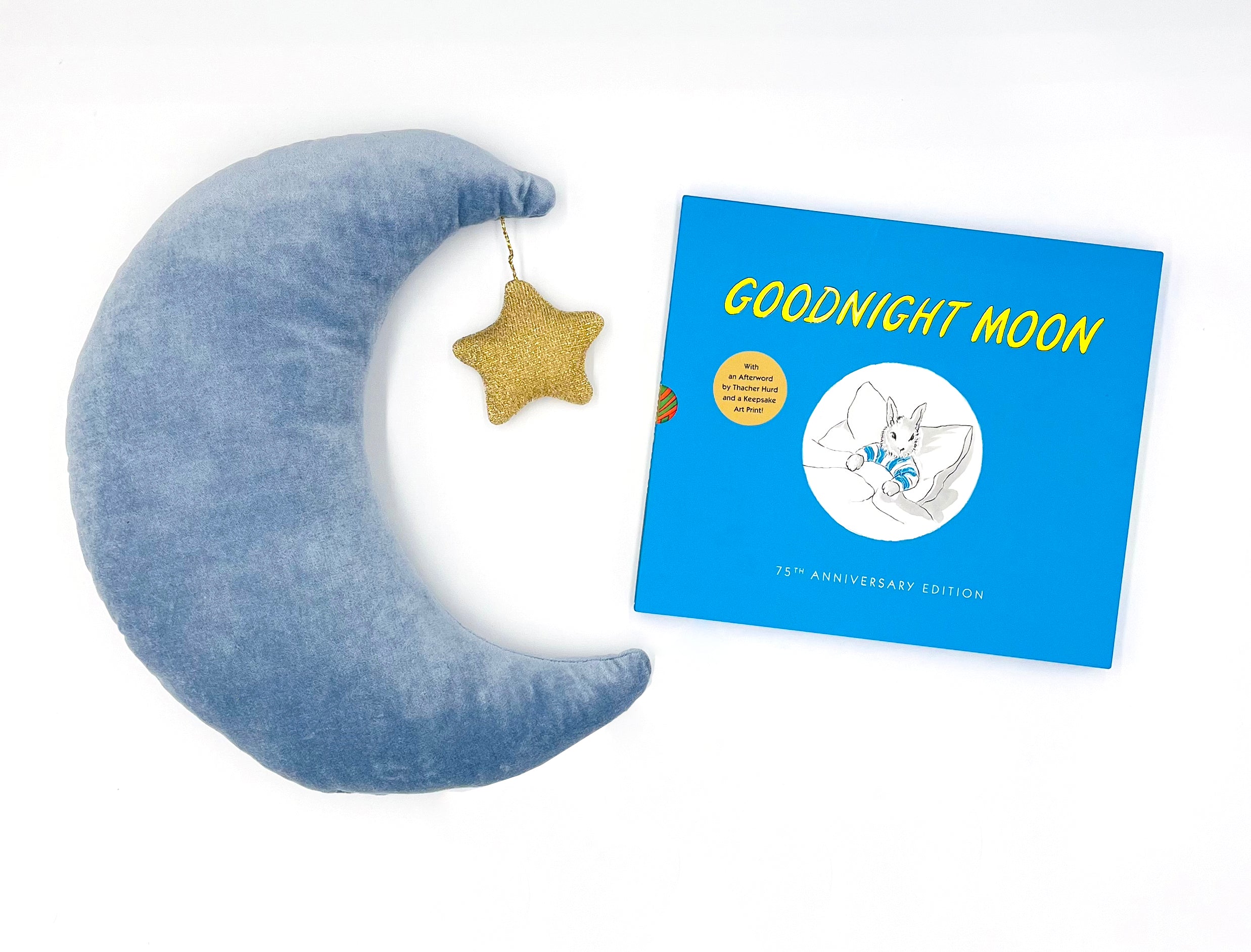 Goodnight Moon and Velvet Moon Cushion